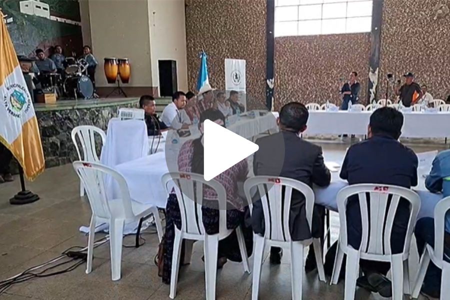 Ver video